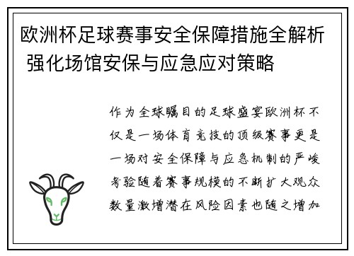 欧洲杯足球赛事安全保障措施全解析 强化场馆安保与应急应对策略