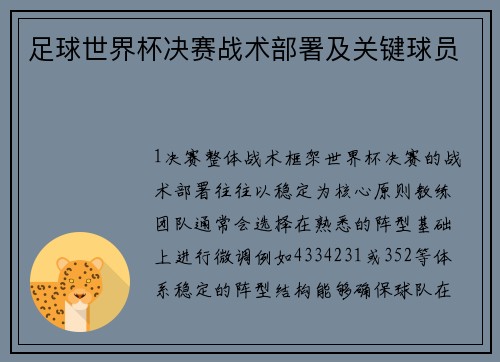 足球世界杯决赛战术部署及关键球员